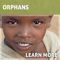 orphans