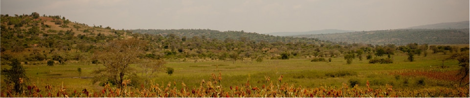 Africa New Life Ministries