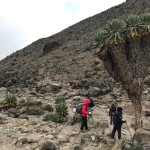 Kilimanjaro Climb - Day 4