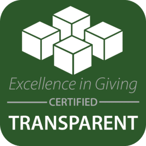 Africa New Life - Excellence in Giving